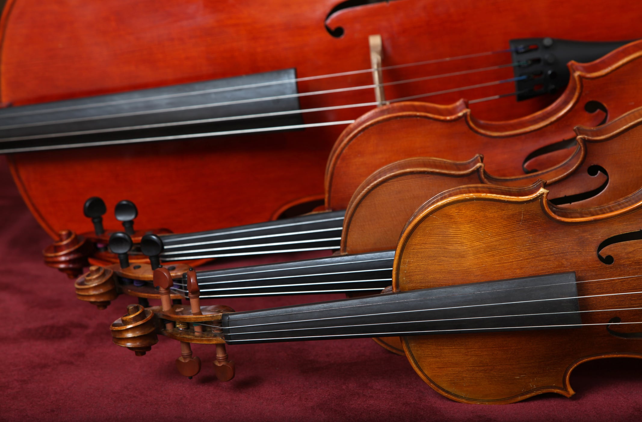 Close-up of stringed instruments on burgundy background.