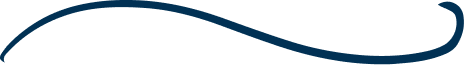 divider-img.png divider-img.png