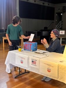 Person submitting ballot at voting station
