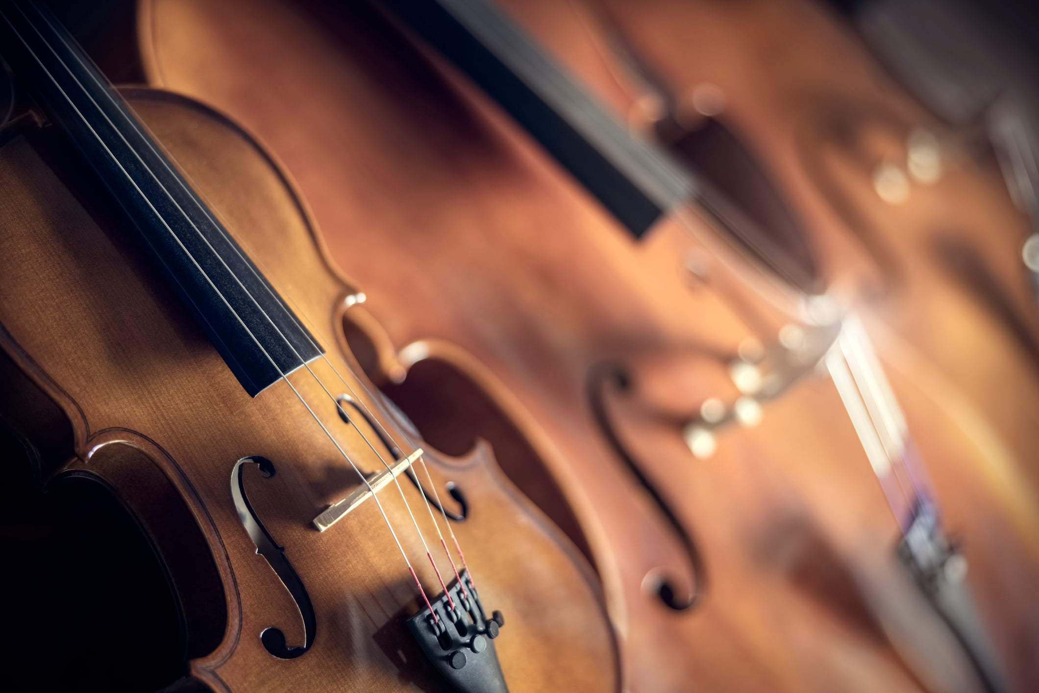 Close-up of violins showcasing strings and wood grain.