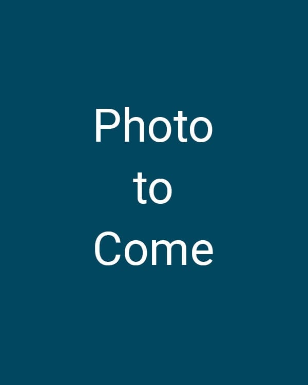 Placeholder image for upcoming content