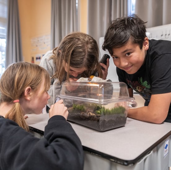 Children observing a terrarium in classroom activity.