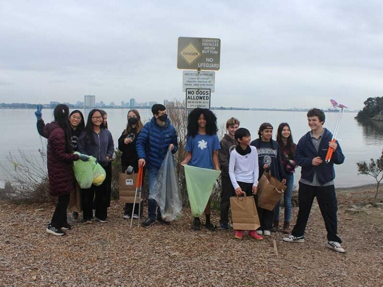 Group of people cleaning a beach area.