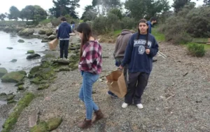 Volunteers cleaning up beach litter