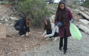 Volunteers collecting trash in a park cleanup effort.