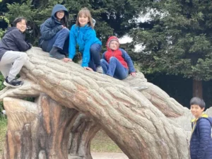 Children climbing on large tree sculpture outdoors