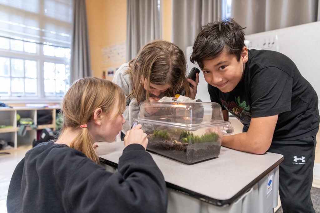Crowden students study a science lab project