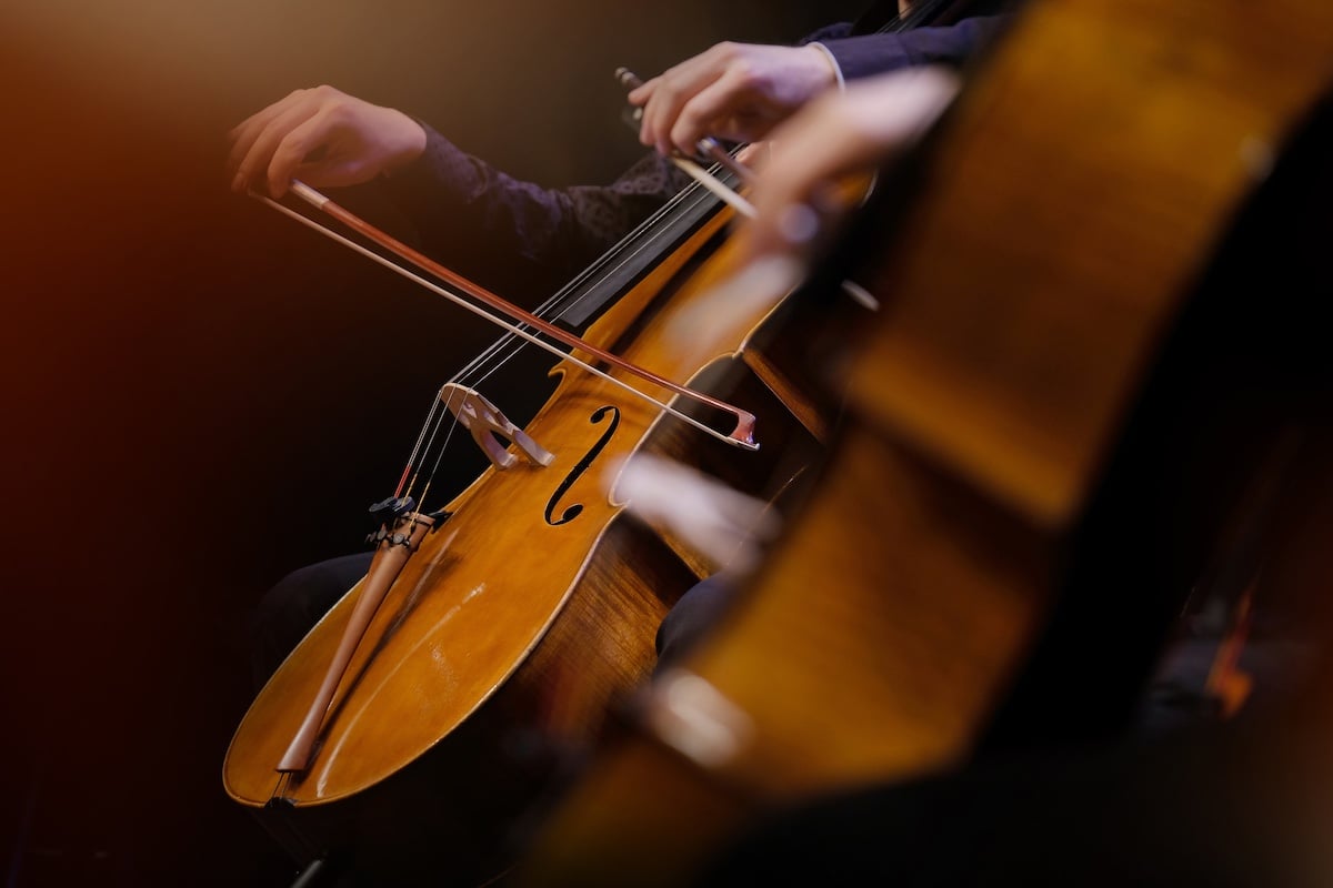 Cellists bow warm wooden instruments during a performance.