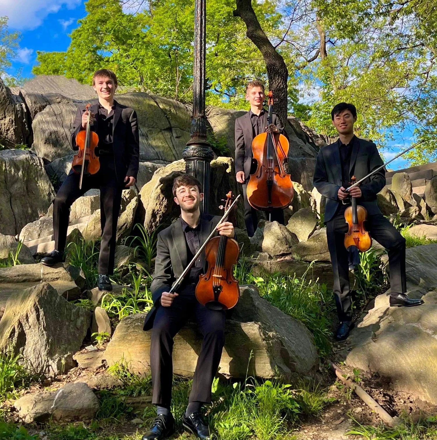 Four string musicians pose with instruments among sunlit rocks.